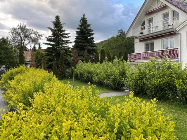 Villa Astoria Balatongyörök Exterior foto